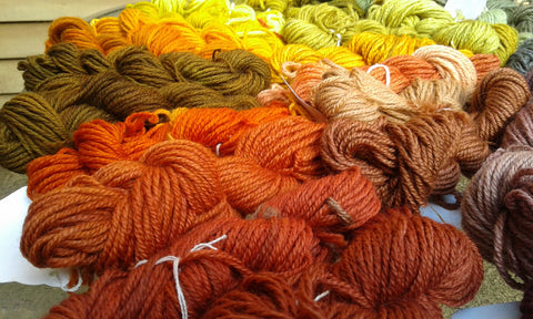 Introduction to Plant Dyeing Wool (OCT 2025)