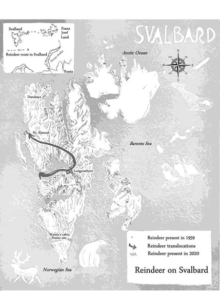 Reindeer A Tale of Nature and Survival in a Changing North