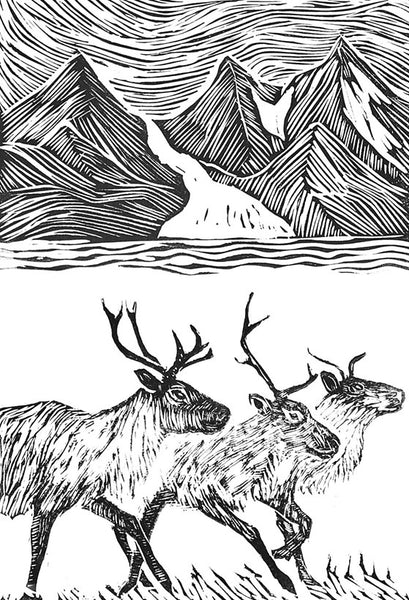 Reindeer A Tale of Nature and Survival in a Changing North