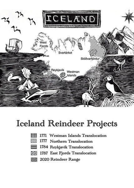 Reindeer A Tale of Nature and Survival in a Changing North