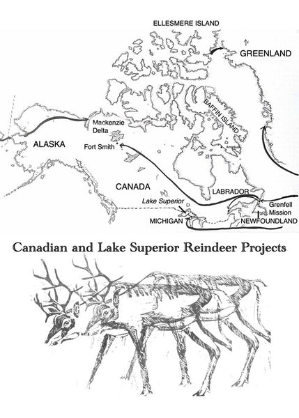 Reindeer A Tale of Nature and Survival in a Changing North