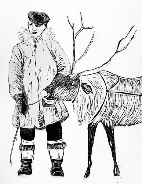Reindeer A Tale of Nature and Survival in a Changing North