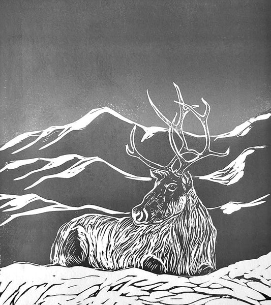 Reindeer A Tale of Nature and Survival in a Changing North